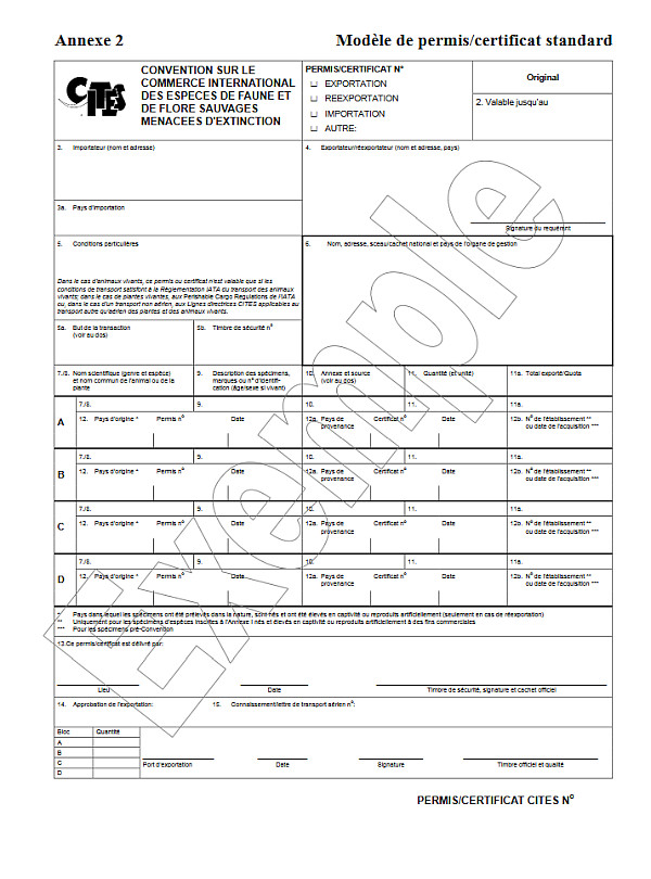 Cette image représente un modèle de permis CITES