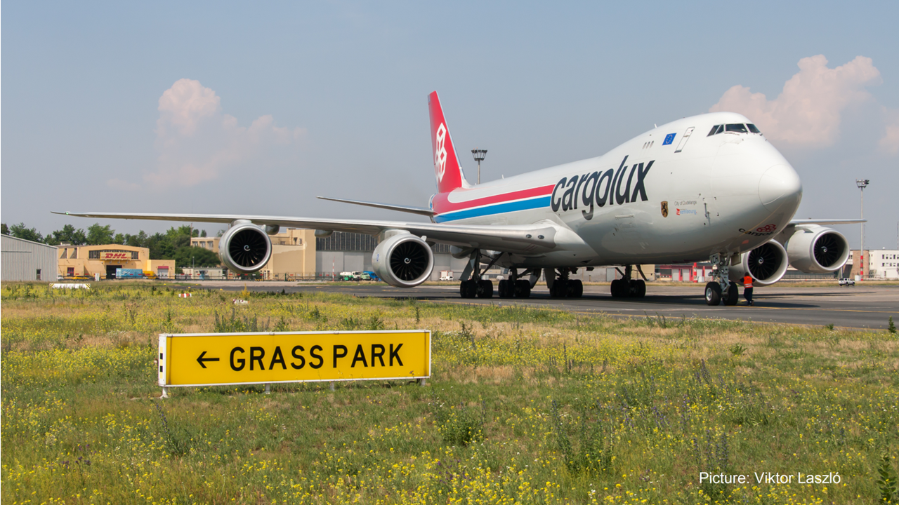 R Sultats Records Pour Cargolux En Actualit S Single Window