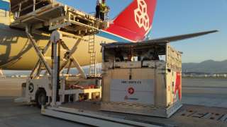 Cargolux carries high value horses for Asian games